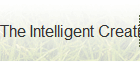 The Intelligent Creation Theory